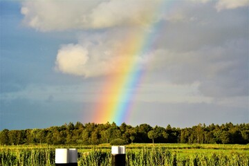 Regenbogen