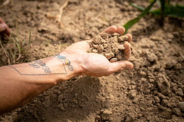 Man hands holding dry soil on a field