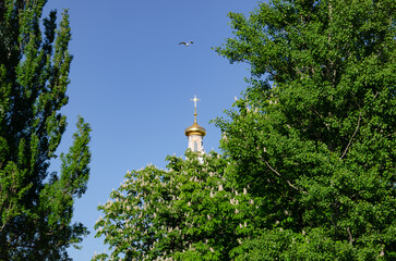 Russia, St. Petersburg 07.06.2022, the dome of the Church of Alexander Nevsky Lavra against the...