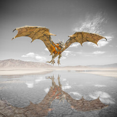 dragon is flying up on the desert after rain