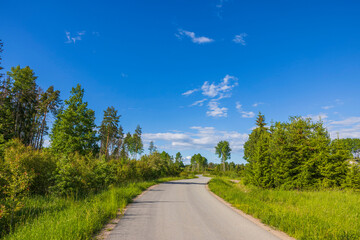 Fototapeta na wymiar Beautiful view of road and green trees merging to blue sky on horizon. Beautiful nature backgrounds. Sweden. 