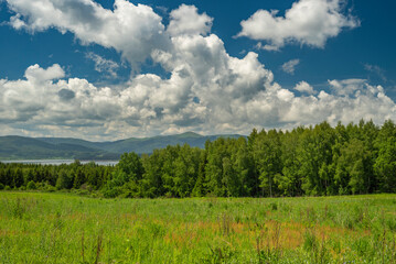 Naklejka premium Beautiful mountain meadow with birch trees and clouds on blue sky in background