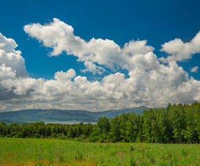 Beautiful mountain meadow with birch trees and clouds on blue sky in background