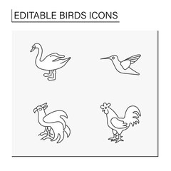 Birds line icons set. Different types of birds. Swan, rooster, phoenix and hummingbird.Beautiful domestic and wild birds. Nature concept. Isolated vector illustrations. Editable stroke