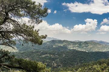 Obraz premium Scenic view with mountains and forest. Cyprus. landscape.