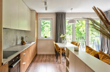Modern interior of kitchen with wooden furniture and counter and cabinet. Open space with dining...