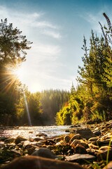 Gran angular vertical con vista desde el suelo y las piedras del r&iacute;o, el bosque de pinos y el cielo con la luz del sol en el atardecer