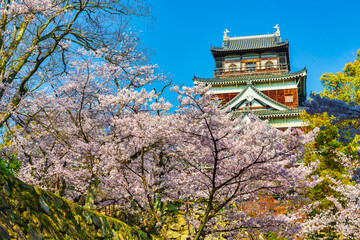 桜満開の広島城(広島県広島市)