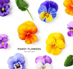Fototapeten Spring viola pansy flowers composition. © ifiStudio