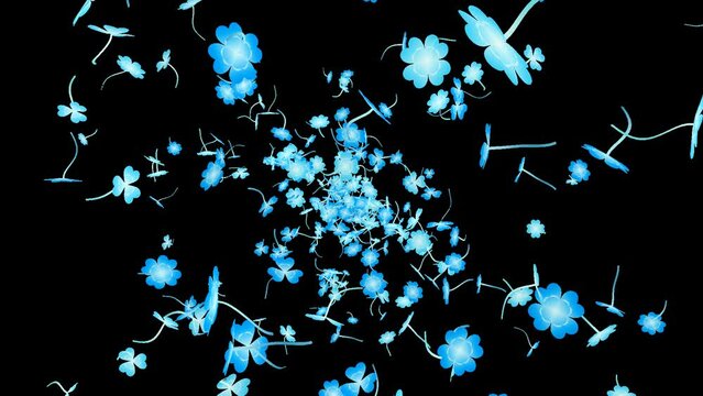 Loop back center rotation clover alpha channel