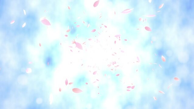 Loop back center cherry petals bright background