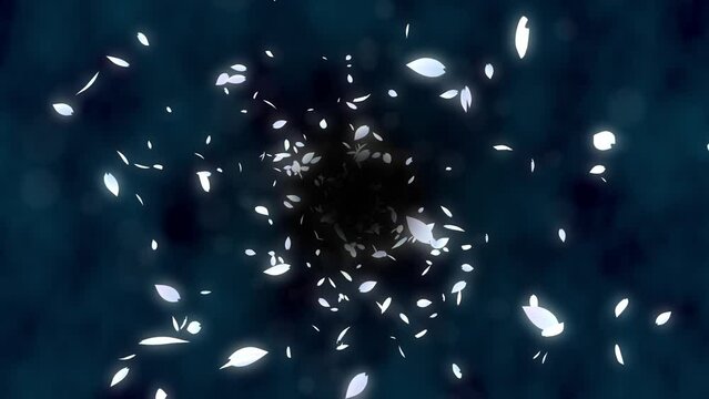 Loop back center rotation cherry petals dark background