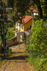 Steep old pathway down the hill from Granarolo to Genoa.