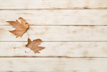 Flat lay composition with autumn leaves on wooden background, top view