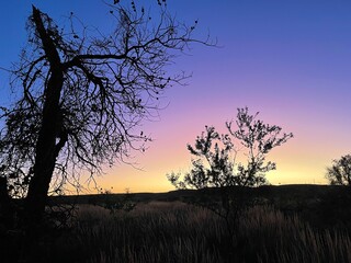 A sunrise in the Pilbara, Western Australia, outside of a mining camp