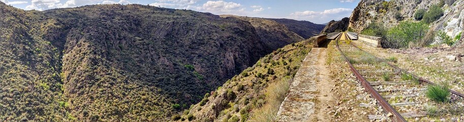 grass in the mountains