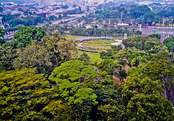 Fototapeta na wymiar Tropical forest in the middle of the city, Jakarta, Indonesia In addition to adding to the aesthetics of urban forests, it is also able to reduce air pollution 