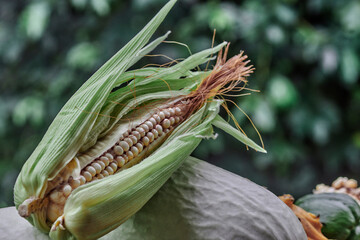 Ear of corn in the foreground