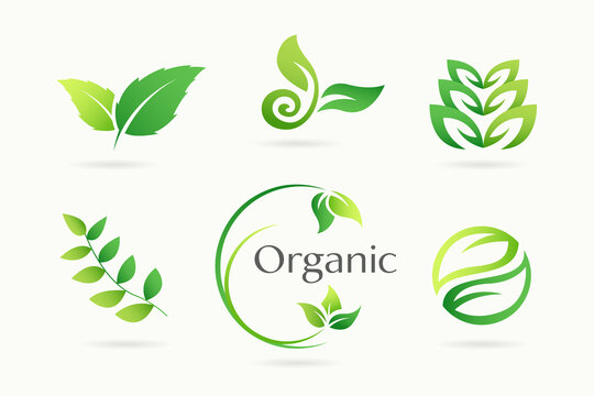 Green Leaf Garden, Botanical and Organic Logo Set.