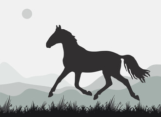 isolated silhouette of a running young horse against a landscape background
