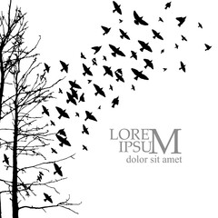 Realistic illustration with silhouettes of three birds - crows or ravens sitting on tree branch without leaves and flying, isolated on white background - vector