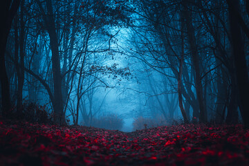 Fairy Forest. Mystical atmosphere. Paranormal another world. Stranger forest in a fog. Dark scary...