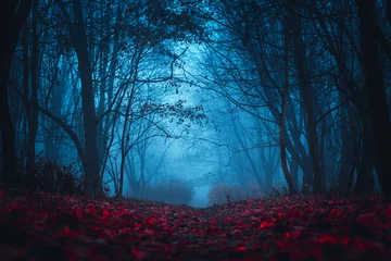 Fototapeten Märchenwald. Mystische Atmosphäre. Paranormale andere Welt. Fremder Wald im Nebel. Dunkler gruseliger Park mit roten Blättern. Hintergrund für Tapeten. © Kseniya Iv