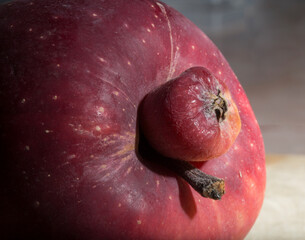 Red Delicious apple. Siamese twin, conjoined, parasitic, freak on the big apple.