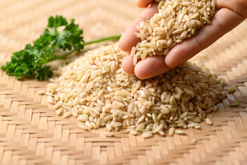 Thai brown rice grain with hand, Organic rice, Healthy food ingredients