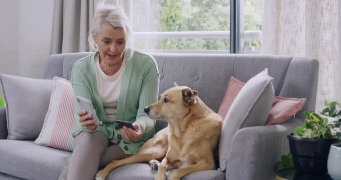 One senior woman using cellphone and credit card while doing online shopping and banking from device at home while bonding with pet dog in lounge at home. Retired woman spending money from smartphone