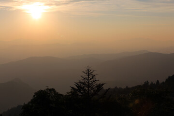 Mountain forest and beautiful sunset