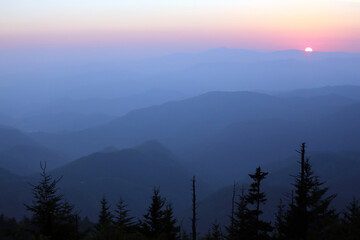 Mountain forest and beautiful sunset