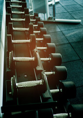 dumbbells, fitness equipment and accessories, sport, healthy
