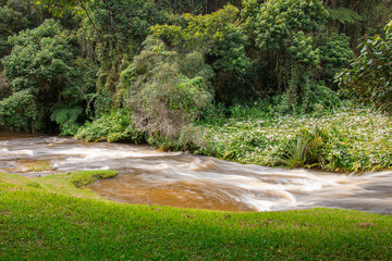 rapids on a sunny day
