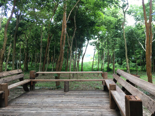 Seat to relax and watch the mixed deciduous forest in the animal shelter