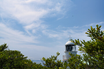 和歌山市　友ヶ島風景素材
