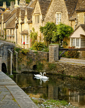 Castle Combe Bridge with two Swans