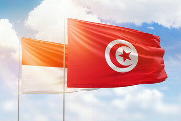 Sunny blue sky and flags of tunisia and indonesia