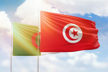 Sunny blue sky and flags of tunisia and algeria - obrazy, fototapety, plakaty