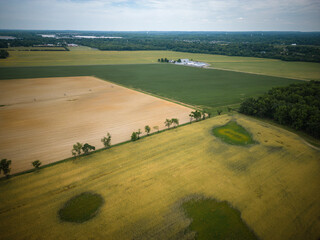 Obraz premium Aerial Drone Farmland Cranrbuy Plainsboro New Jersey 