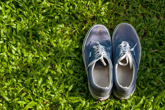 The old vintage blue sneakers dirty on the green lawn.