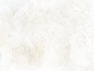 Stippling art. White carnations. Floral background in dotwork style.