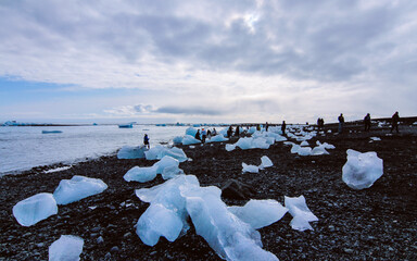 seagulls on the beach