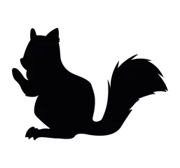 Fotobehang squirrel black silhouette style © Jemastock