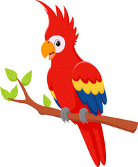  happy parrot bird sitting on tree
