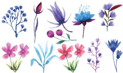 Watercolor floral elements set