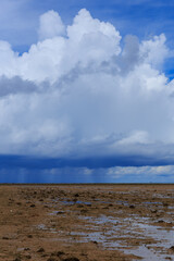 由布島の海岸　沖縄　日本