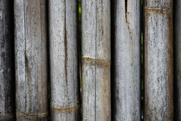 The surface of the bamboo board wall for the background. Old dried bamboo with a detailed texture.