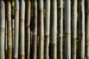 The surface of the bamboo board wall for the background. Old dried bamboo with a detailed texture.