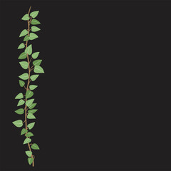 Obraz premium Simplicity ivy freehand drawing flat design.